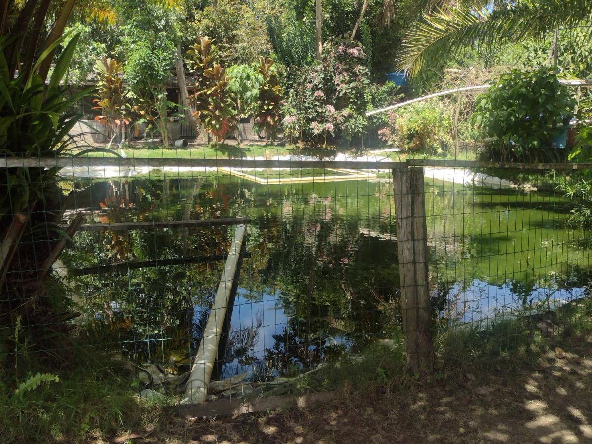 Itaporanga d'Ajuda Hospedaria Recanto Da Paz المظهر الخارجي الصورة